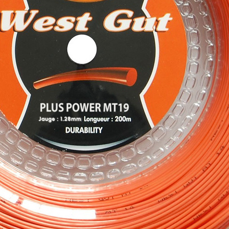 West Gut MT 19 Plus Power bobine 200m