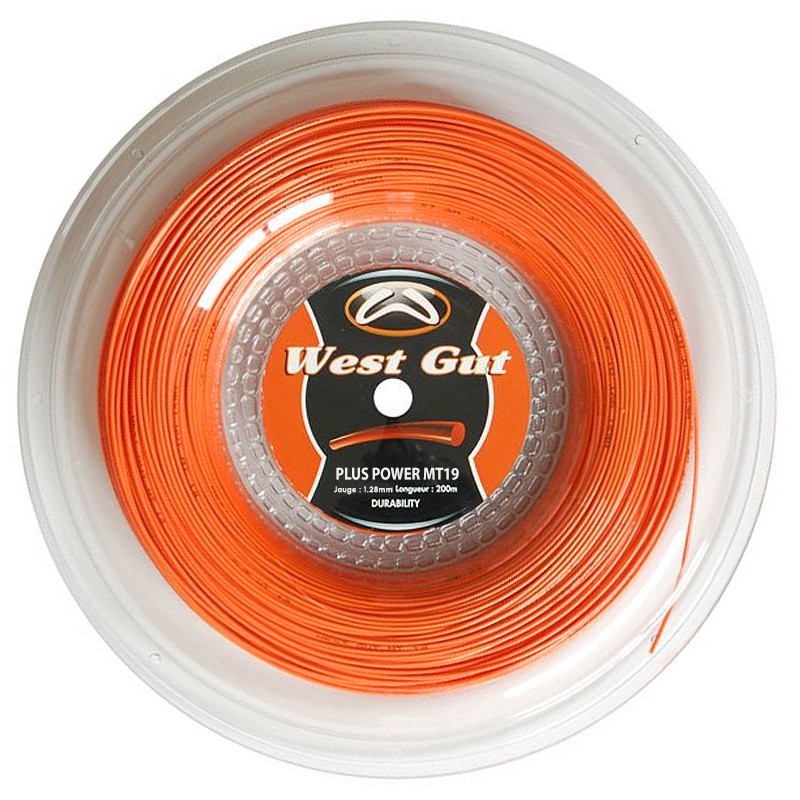 West Gut MT 19 Plus Power bobine 200m